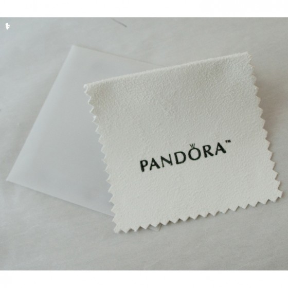 Feature Cleaning and Storing Your Pandora Silver