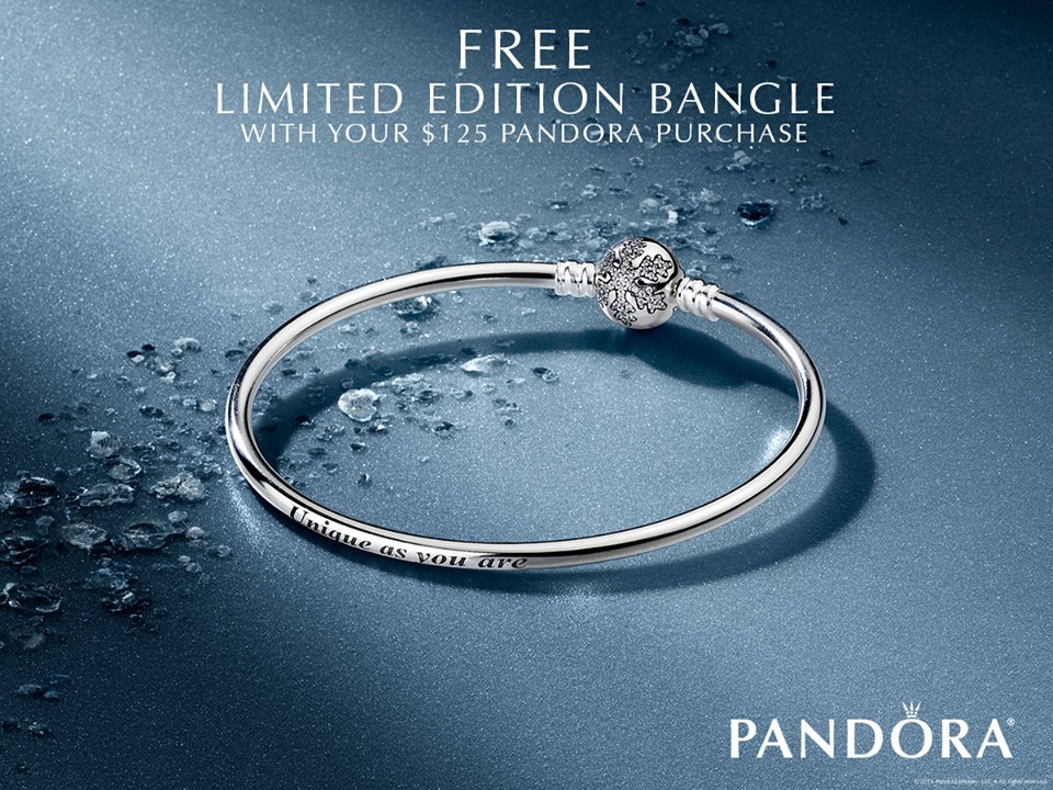 pandora-black-friday-2016-limited-edition-bangle-black-friday