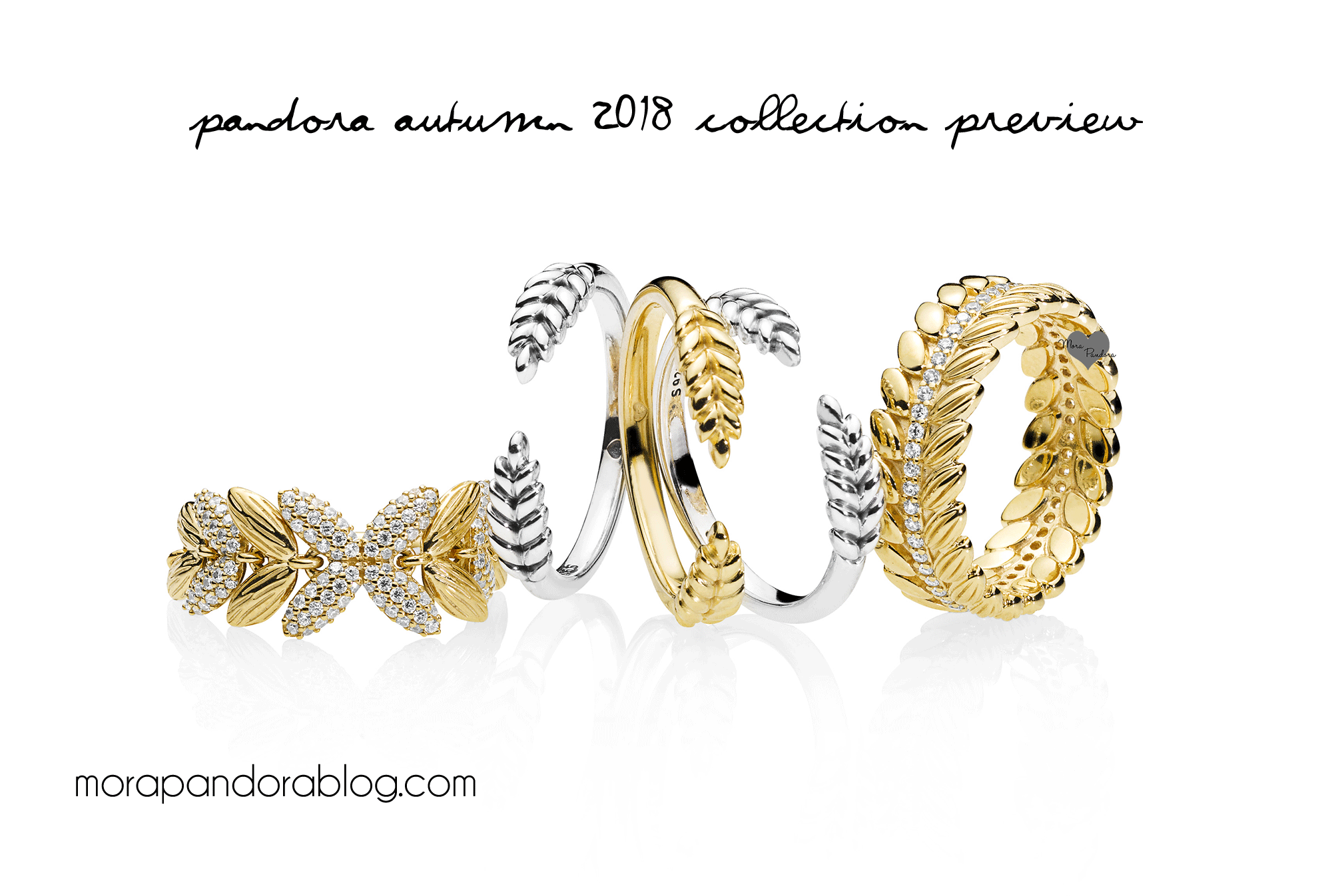 Pandora Shine Autumn 2018