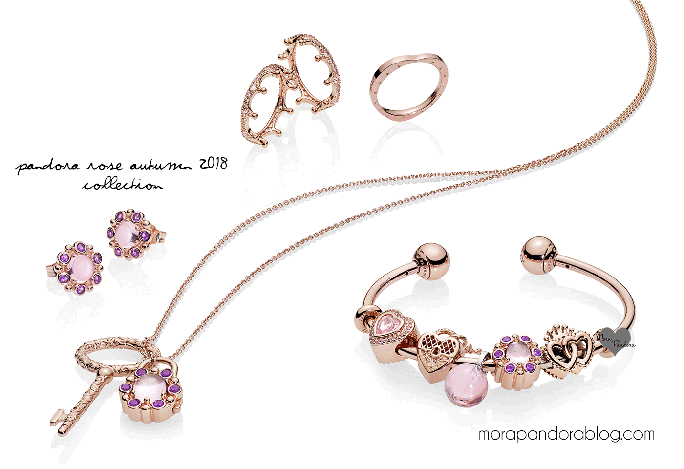 Pandora Rose Autumn 2018